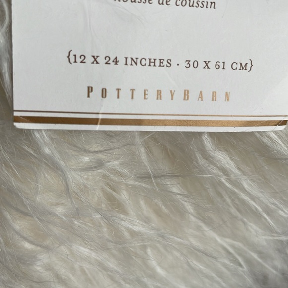 2 Pottery Barn pillow covers with inserts - Picture 3 of 5